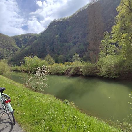 Entre Meuse Et Foret Revin  Εξωτερικό φωτογραφία
