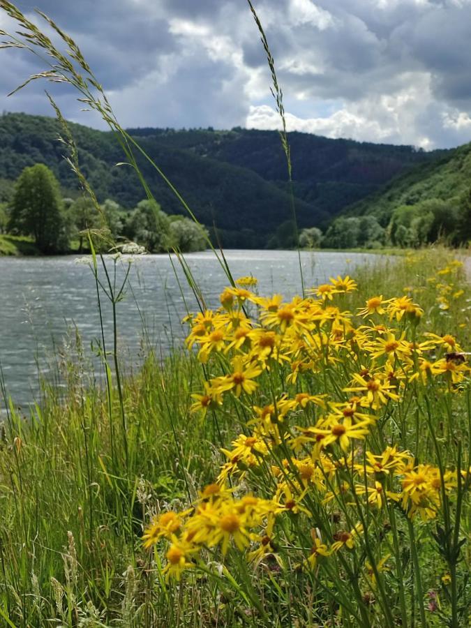 Entre Meuse Et Foret Revin  Εξωτερικό φωτογραφία