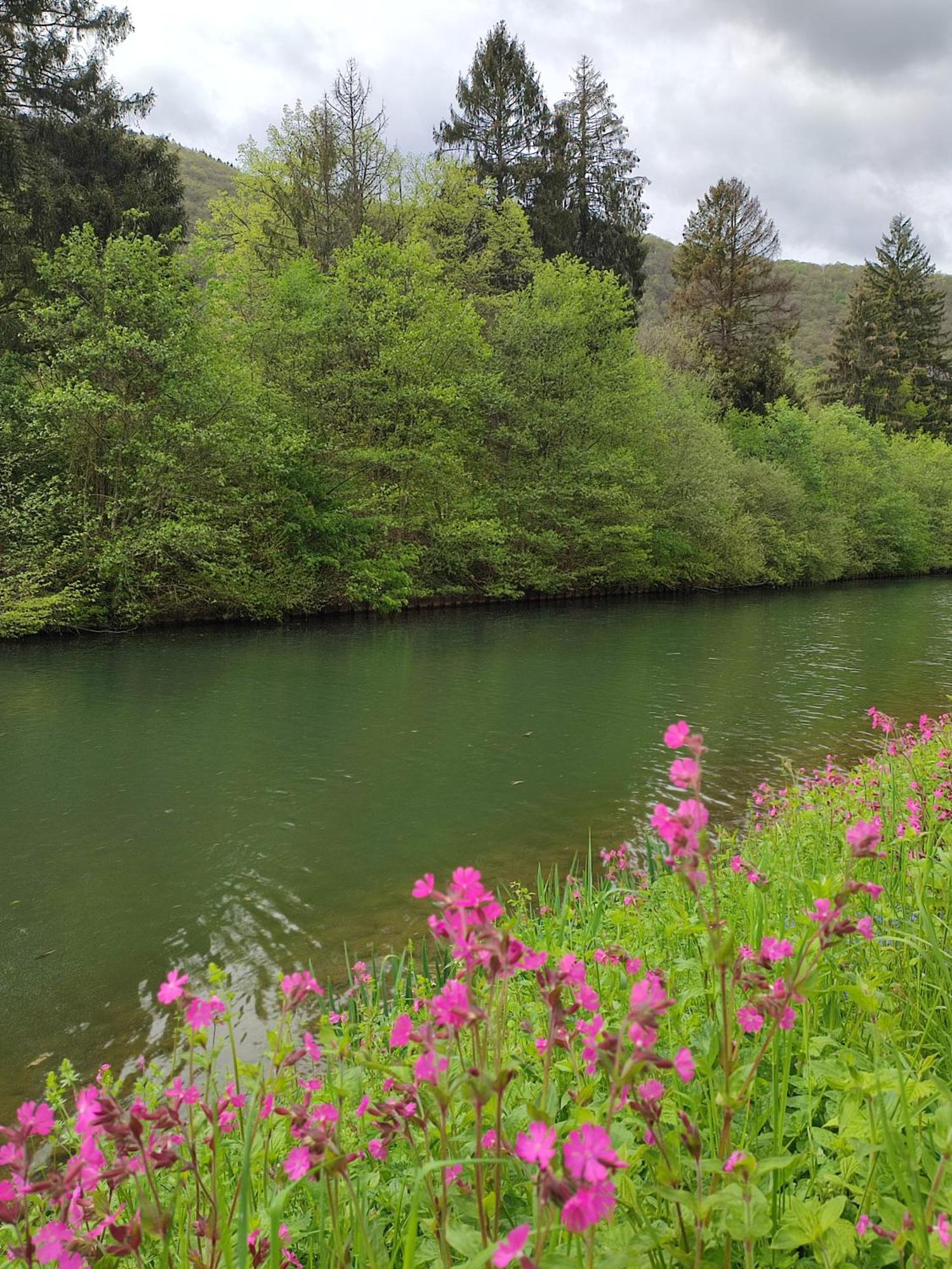 Entre Meuse Et Foret Revin  Εξωτερικό φωτογραφία
