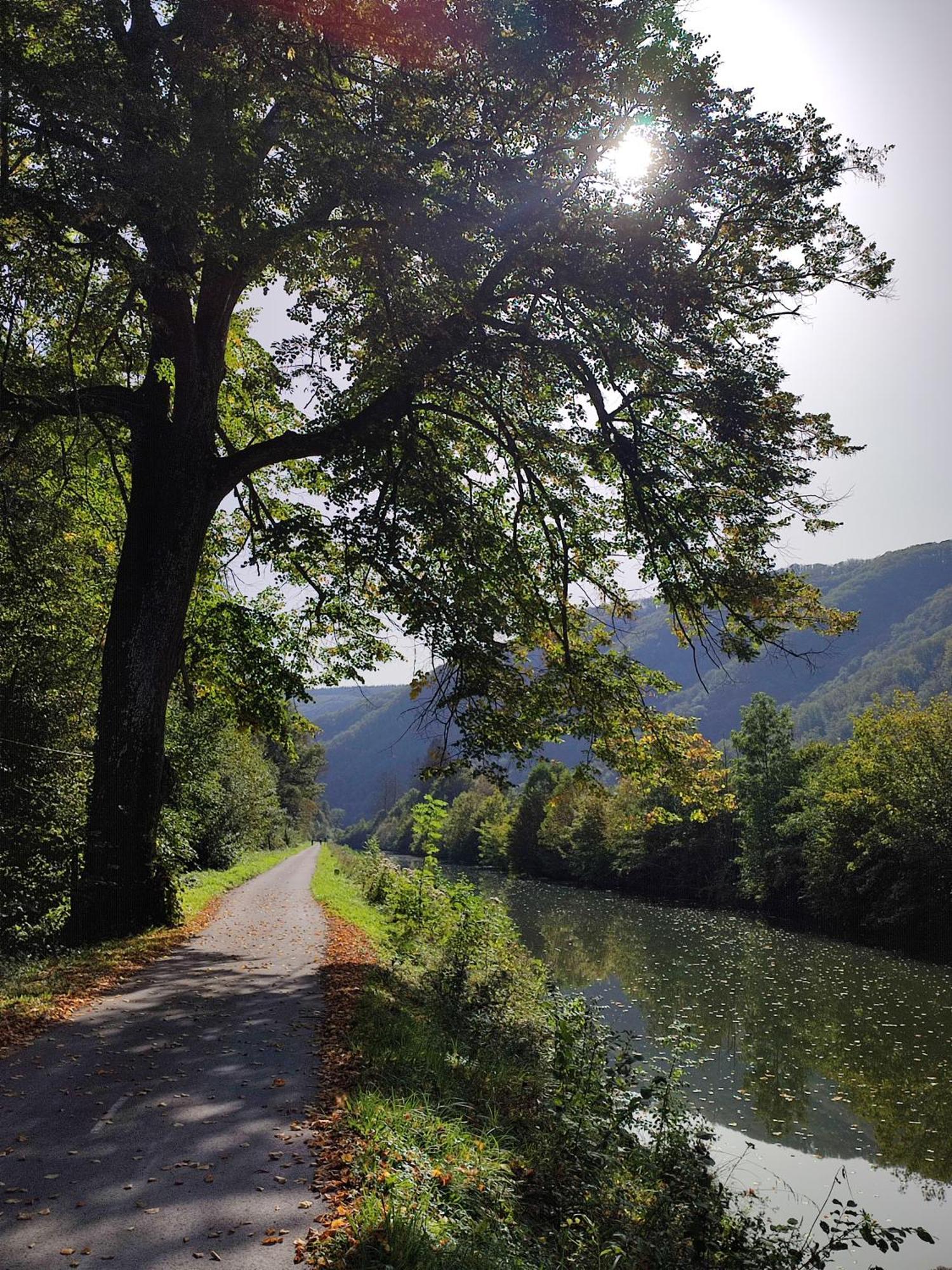 Entre Meuse Et Foret Revin  Εξωτερικό φωτογραφία