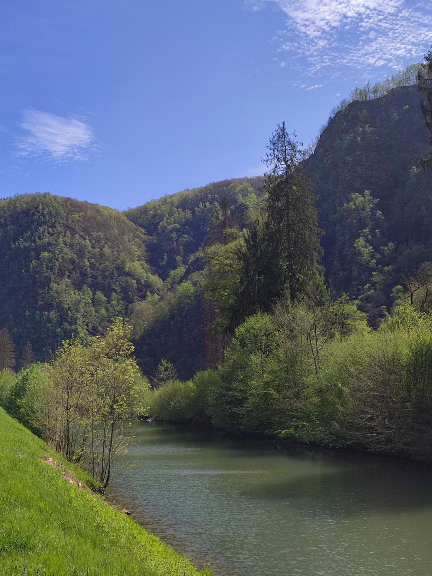 Entre Meuse Et Foret Revin  Εξωτερικό φωτογραφία